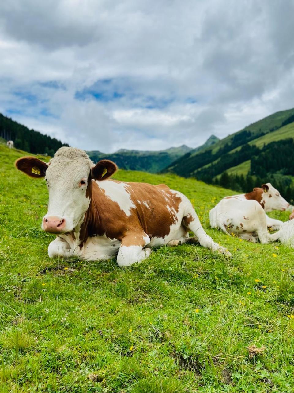 Appartement Mountain & Fun Saalbach Exterior foto